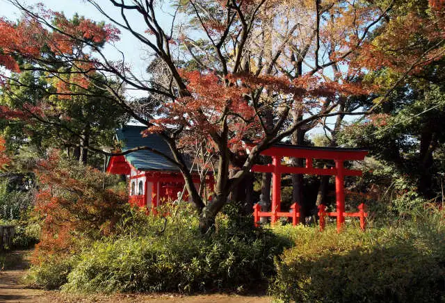 目黒線でめぐる東京一のアーケード商店街と世界一のピザ【 11/3｜11/21 】