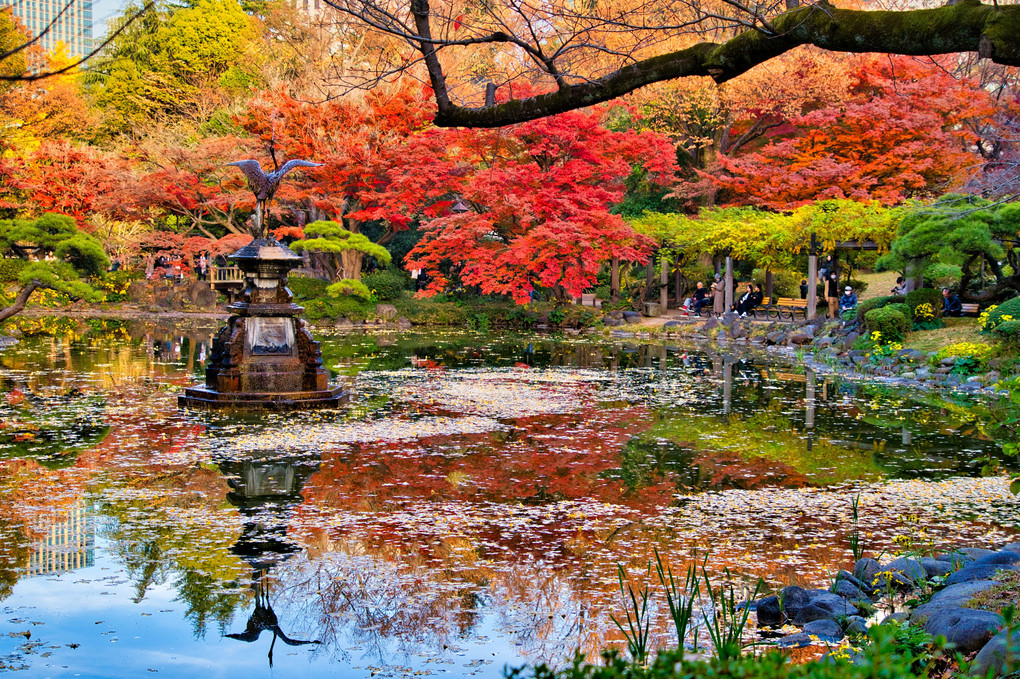 千代田区の名紅葉スポットを行脚、空腹がさらに感動を引き立てる60種類のランチビュッフェ【 11/14｜11/22 】