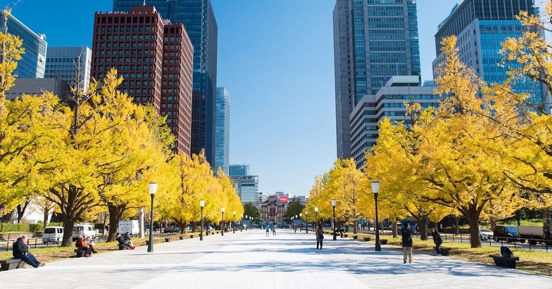 千代田区の名紅葉スポットを行脚、空腹がさらに感動を引き立てる60種類のランチビュッフェ【 11/14｜11/22 】