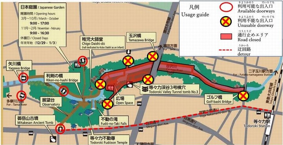 23区内で唯一！等々力渓谷で水音と緑に癒される体験を【 10/31｜11/5｜11/30 】