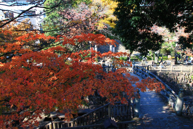 都内唯一紅葉寺の別名を持つ金剛寺から始まり紅葉を味わい尽くす3時間半 in 王子【 11/4｜11/11｜11/12 】