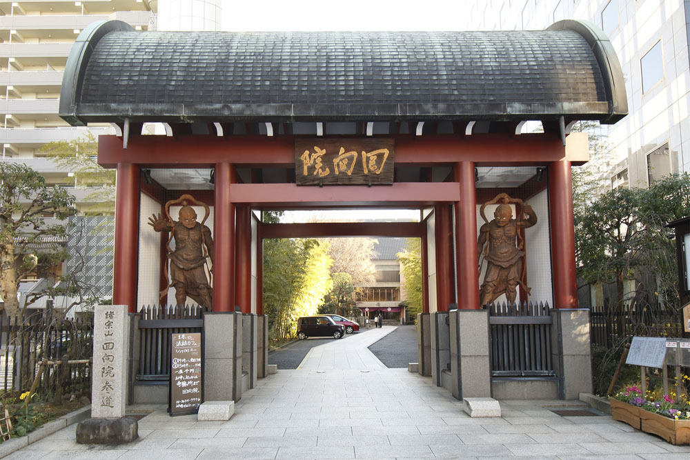 相撲の町・両国|北斎や勝海舟、偉人の足跡と相撲文化を味わう旅|名物ちゃんこ鍋付き