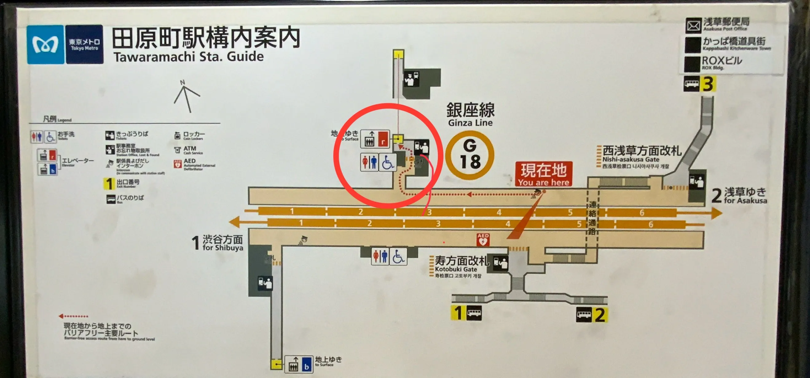 やってみたかった!ドキドキ・わくわく食品サンプル作り@カッパ橋!