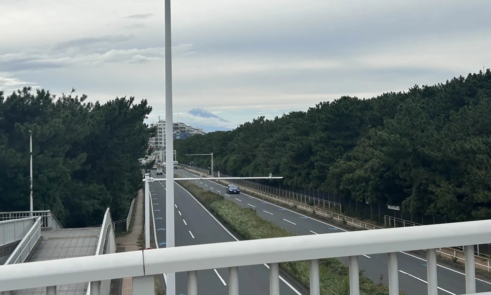 年に1度の梅まつり・茅ヶ崎満喫ツアー