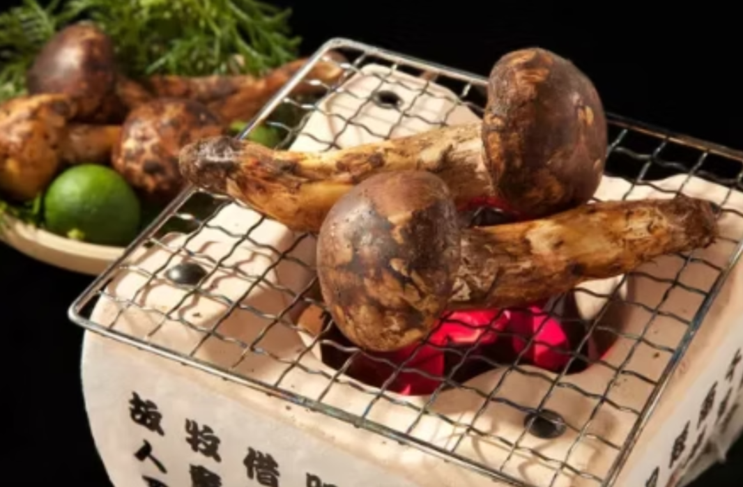 【季節グルメ会】食欲の秋全開！銀座で松茸を味わい尽くす秋限定のグルメ会【 10/25 】