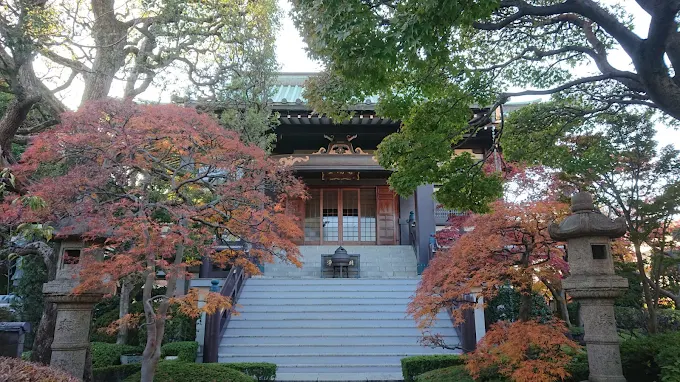 都内唯一紅葉寺の別名を持つ金剛寺から始まり紅葉を味わい尽くす3時間半 in 王子【 11/4｜11/11｜11/12 】
