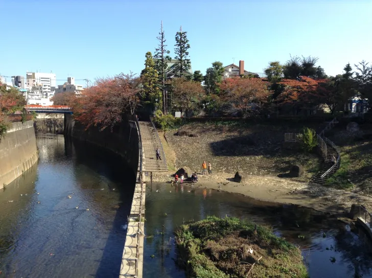 都内唯一紅葉寺の別名を持つ金剛寺から始まり紅葉を味わい尽くす3時間半 in 王子【 11/4｜11/11｜11/12 】