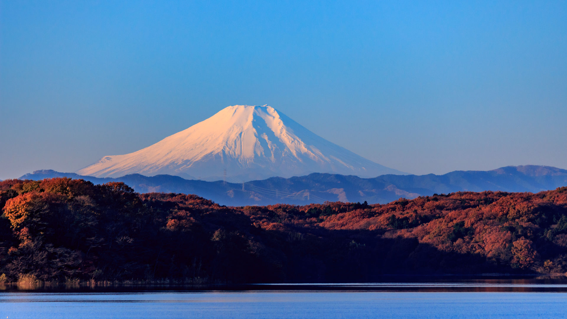 富士山を望む圧巻の狭山湖!冬こそ映える絶景に、寺社を巡るツアー|期間限定デトックスランチ付き
