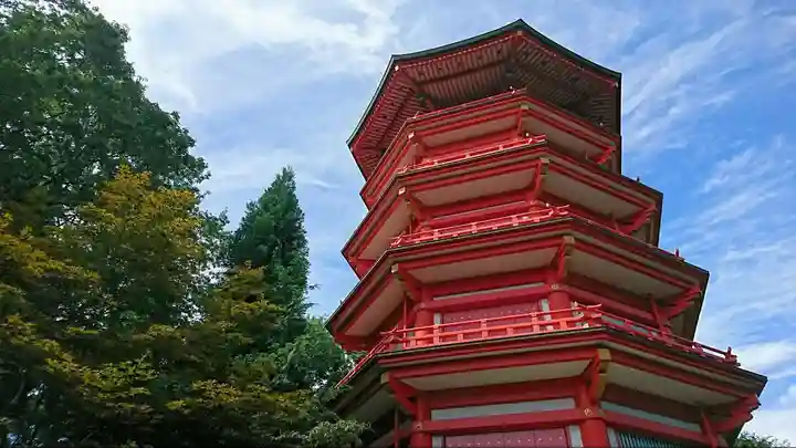 富士山を望む圧巻の狭山湖！冬こそ映える絶景に、寺社を巡るツアー｜期間限定デトックスランチ付き