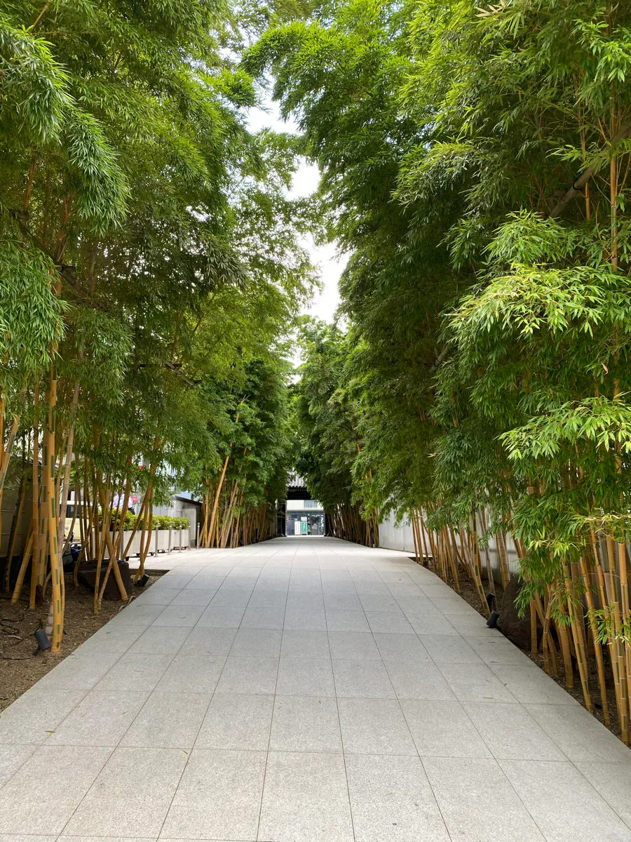 国宝の眠る根津美術館と国内最大級10mの観音像|南青山の名店フレンチをつきの贅沢旅