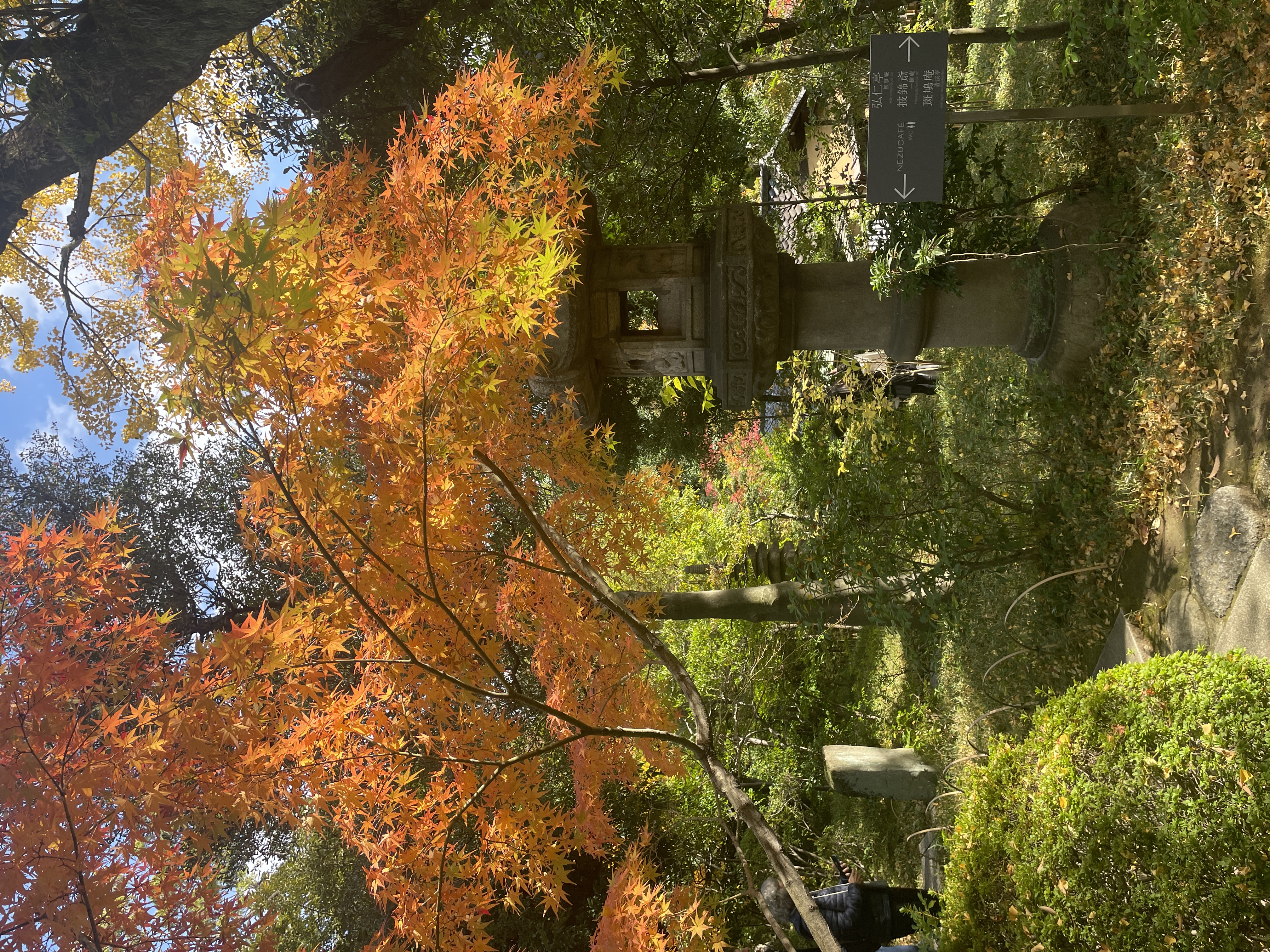 国宝の眠る根津美術館と国内最大級10mの観音像|南青山の名店フレンチをつきの贅沢旅