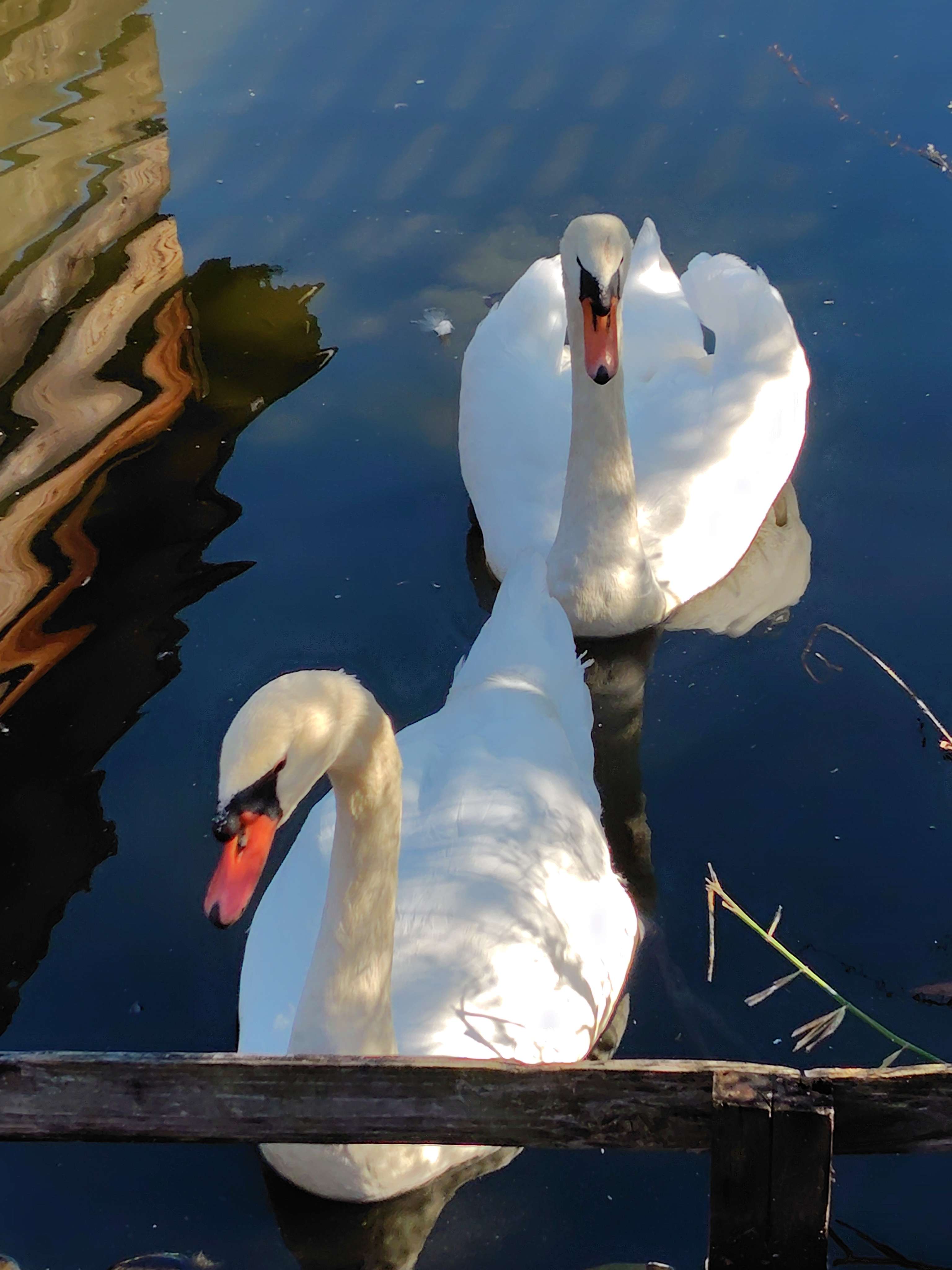 荒川に眠る地下迷宮。大正期ポンプ場遺構の内部を巡る大人の社会科見学