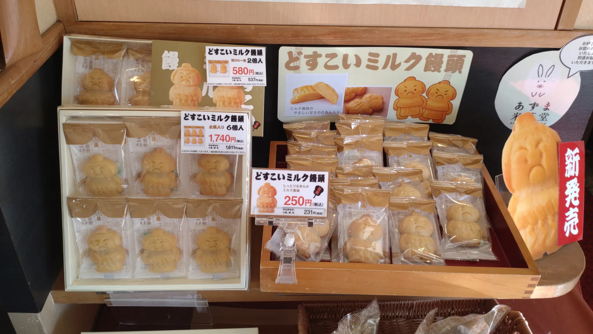 相撲の町・両国|北斎や勝海舟、偉人の足跡と相撲文化を味わう旅|名物ちゃんこ鍋付き