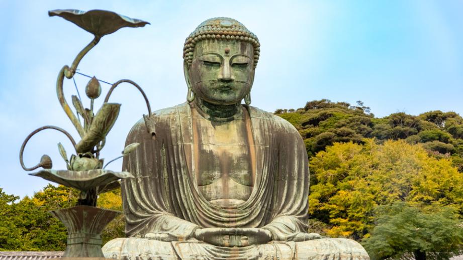 鎌倉を知り尽くしたガイドと切通を踏破する裏道ハイキング|日本遺産の浄智寺から鎌倉大仏まで