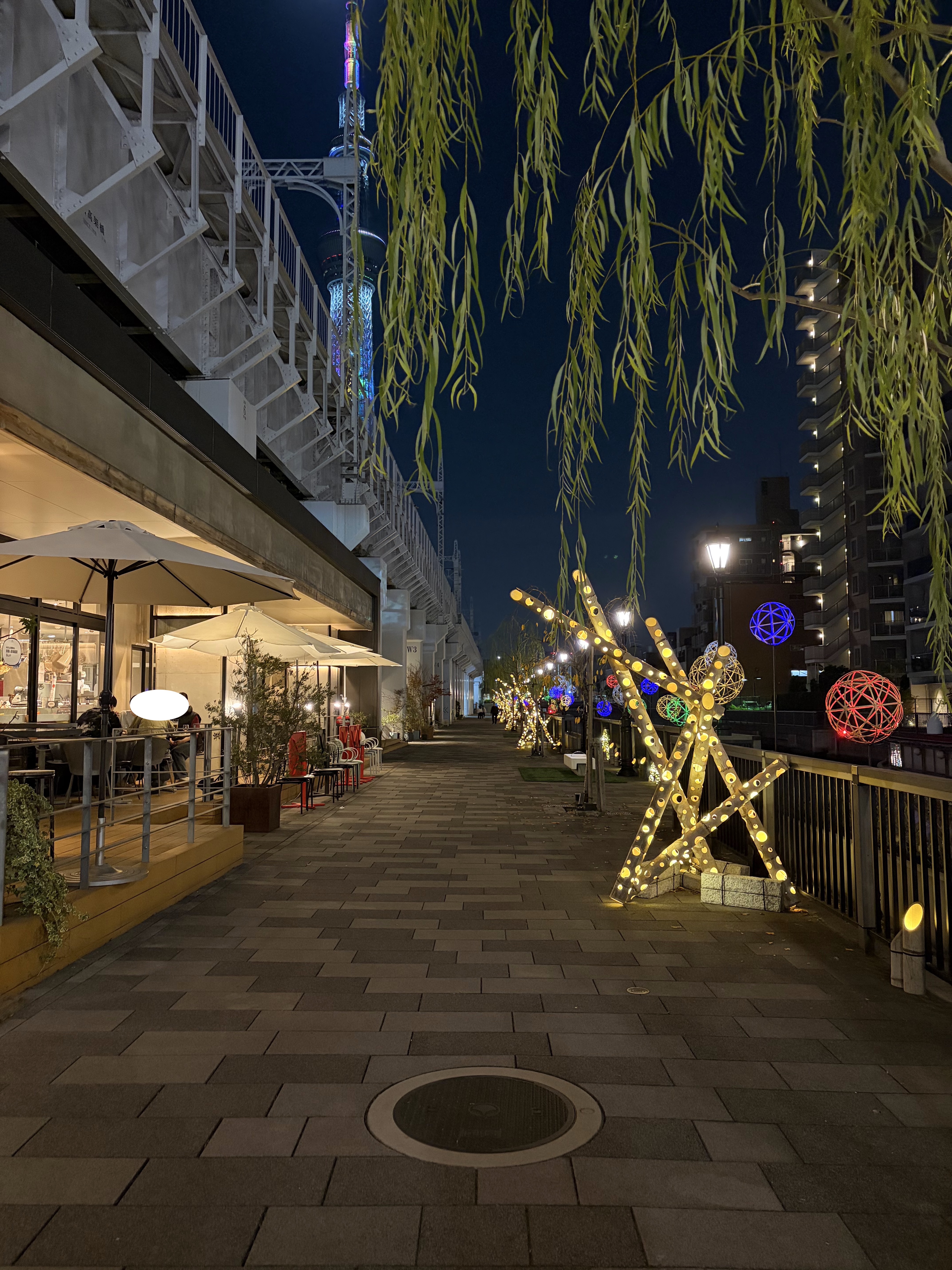 浅草で感じる和の夜景にイルミネーション。冬の夜を満喫するツアー