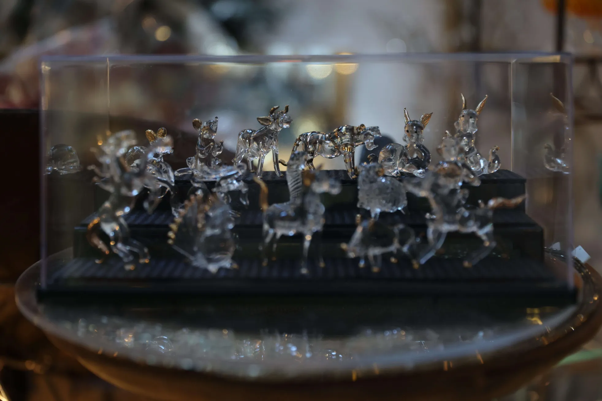 光と芸術の旅 - 箱根ガラスの森美術館 特別企画展「軌跡のきらめき」へ