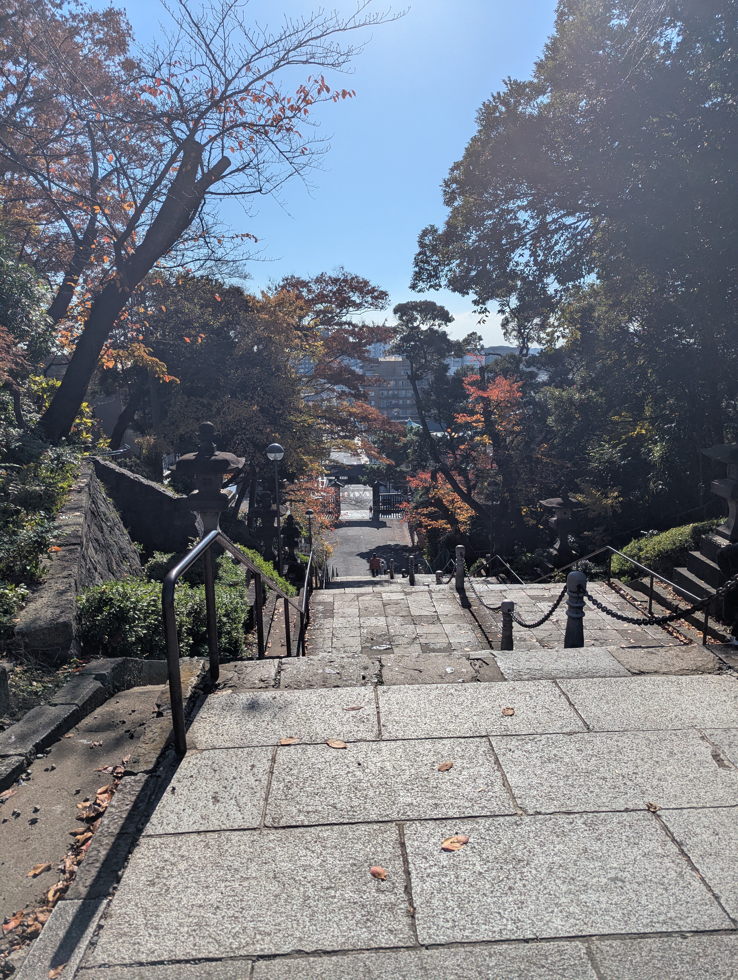 都内屈指の梅の名所・池上梅園で感じる春の到来｜関東最古の五重塔を持つ本門寺と人気の釜めしランチも