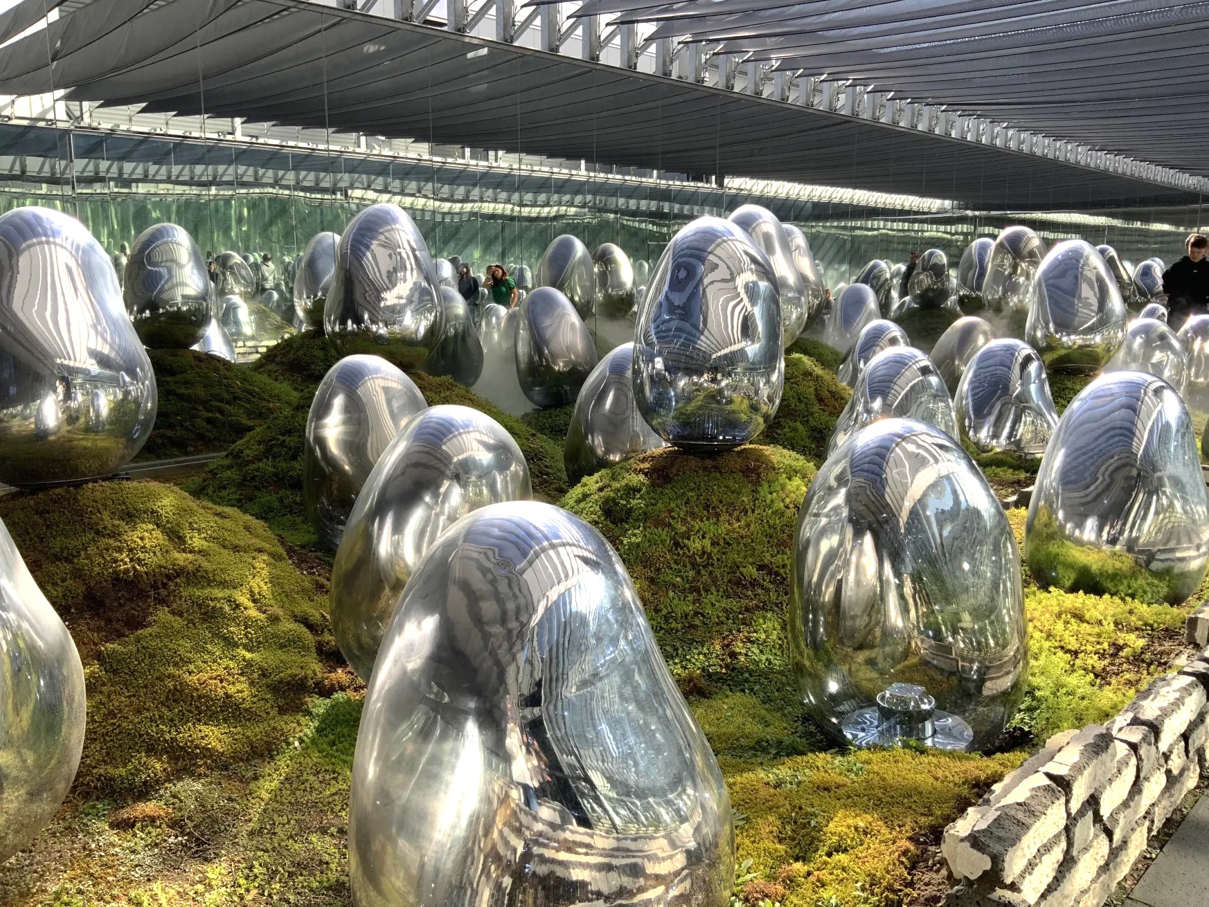 身体とアートが一体となる|チームラボ体験と都心散歩