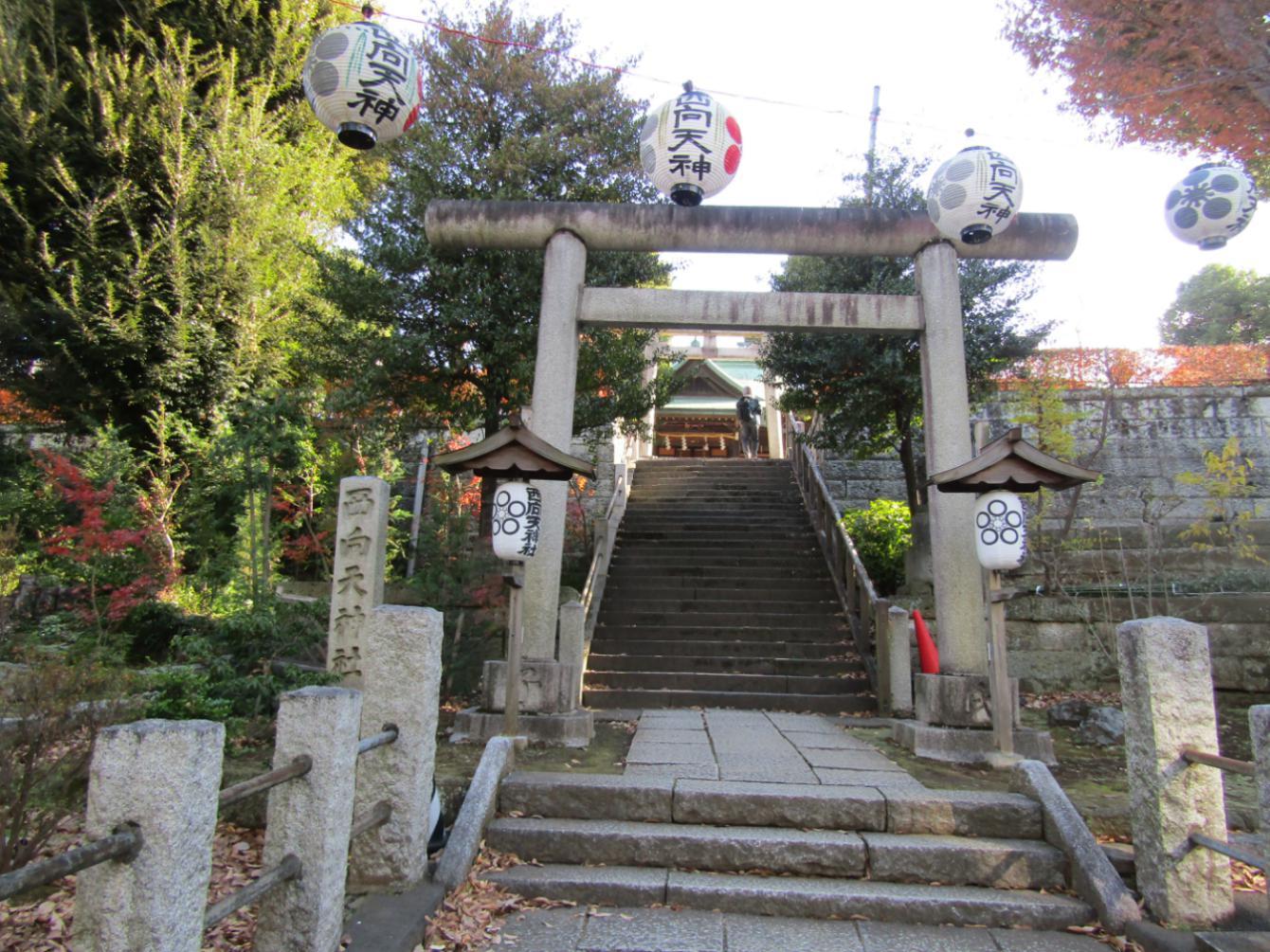 御朱印さんぽ | 都心・新宿御朱印巡りの一日