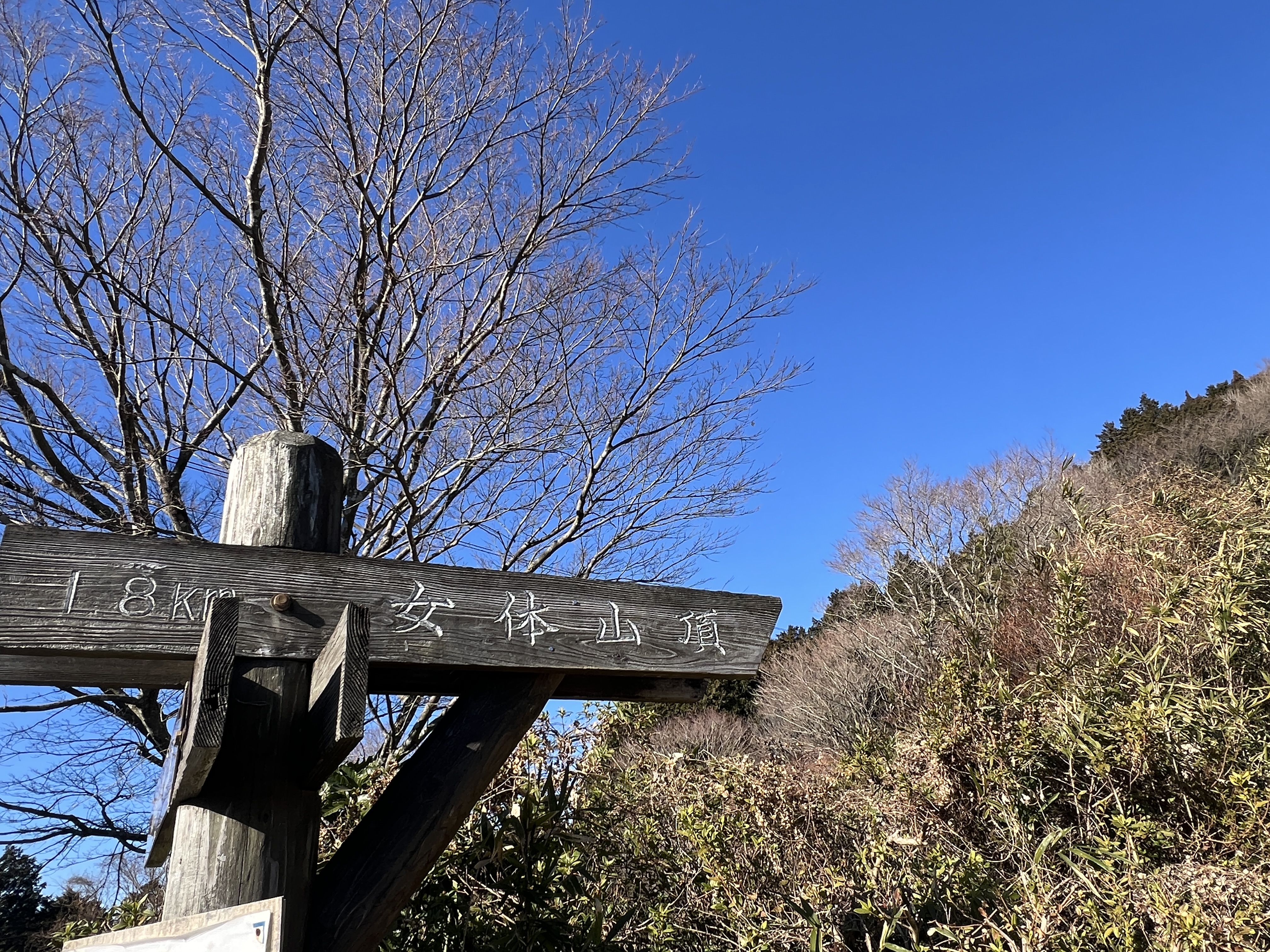 【日本百名山・筑波山】本当は秘密にしたい春の花々の群生ポイントや、奇岩・怪石のパワースポットを楽しむ百名山ハイキング(レベル3)