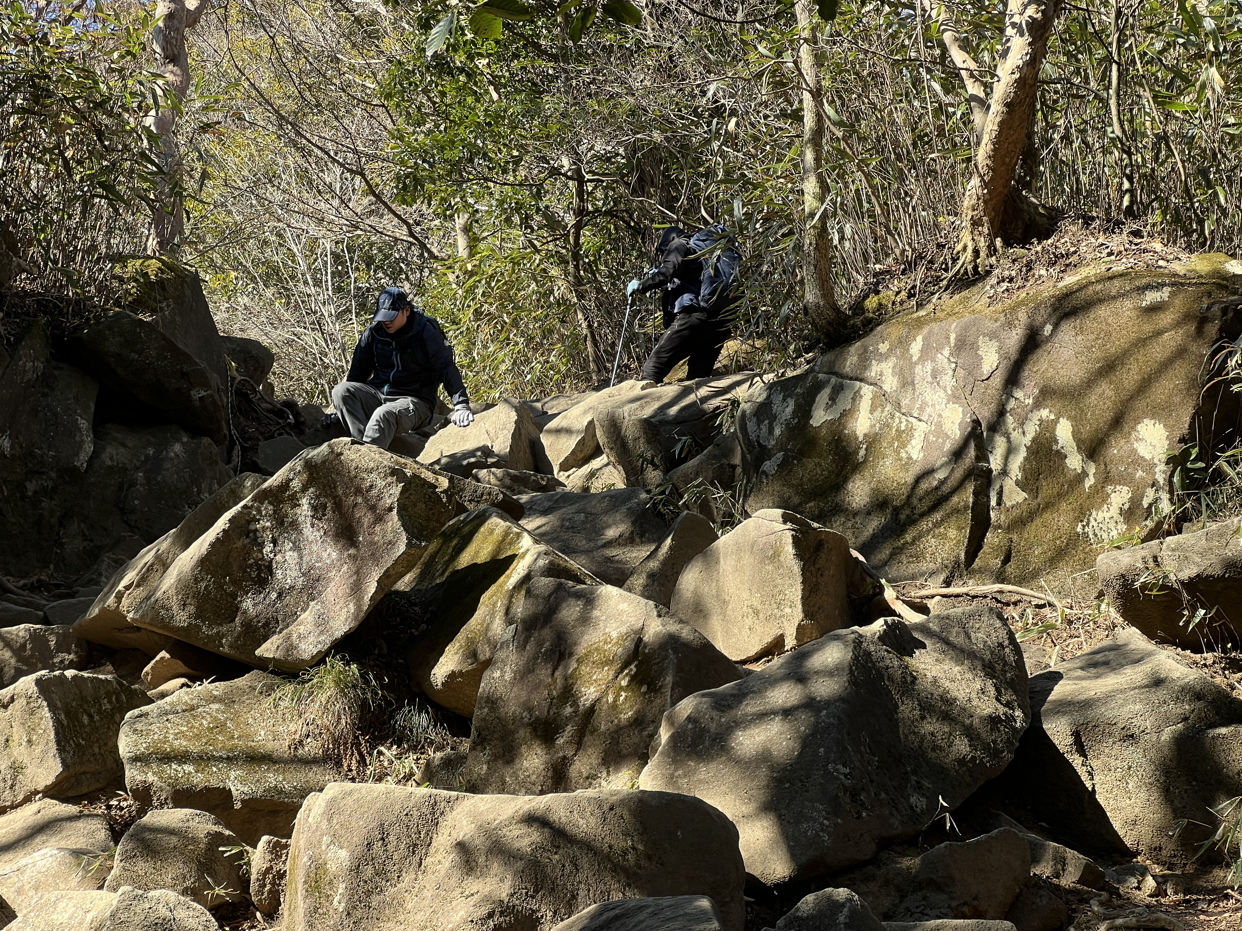 【日本百名山・筑波山】本当は秘密にしたい春の花々の群生ポイントや、奇岩・怪石のパワースポットを楽しむ百名山ハイキング(レベル3)